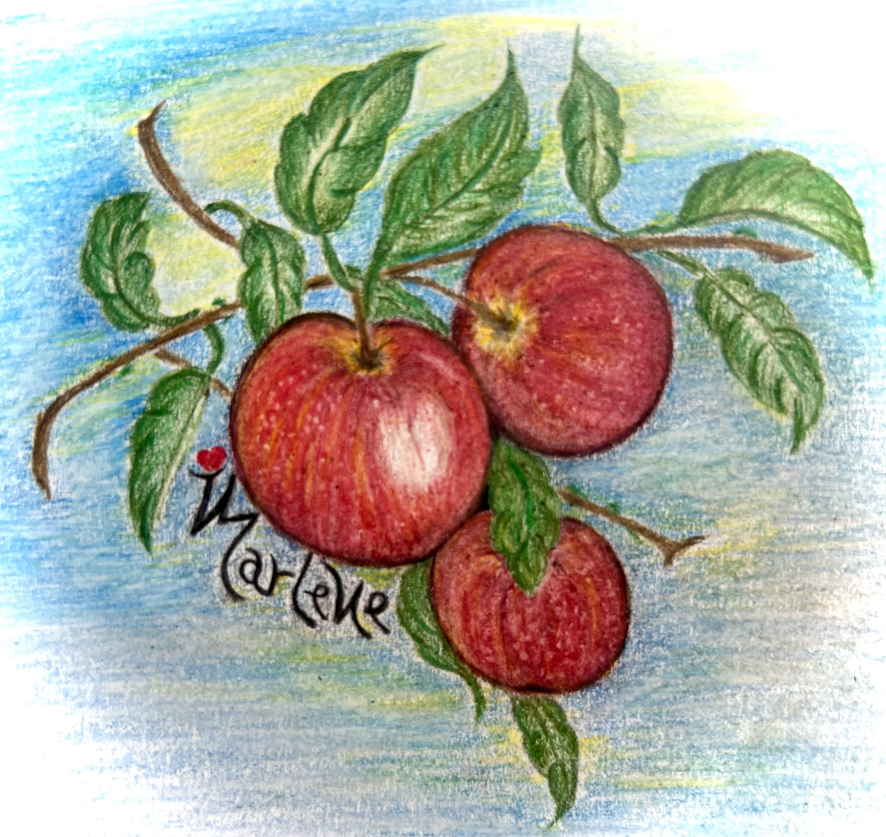 L’amore matura in una mela Marlene