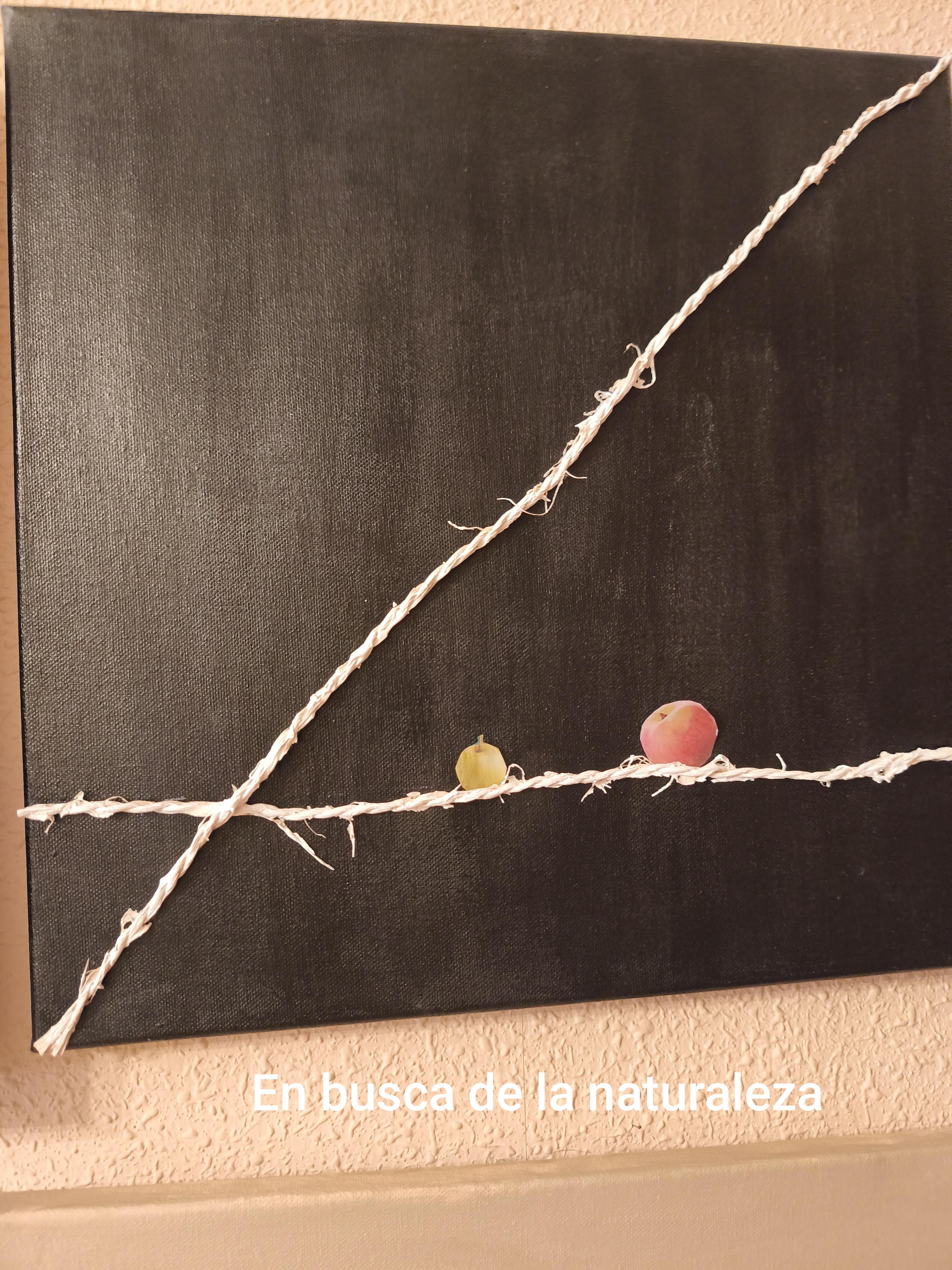 En busca de la naturaleza