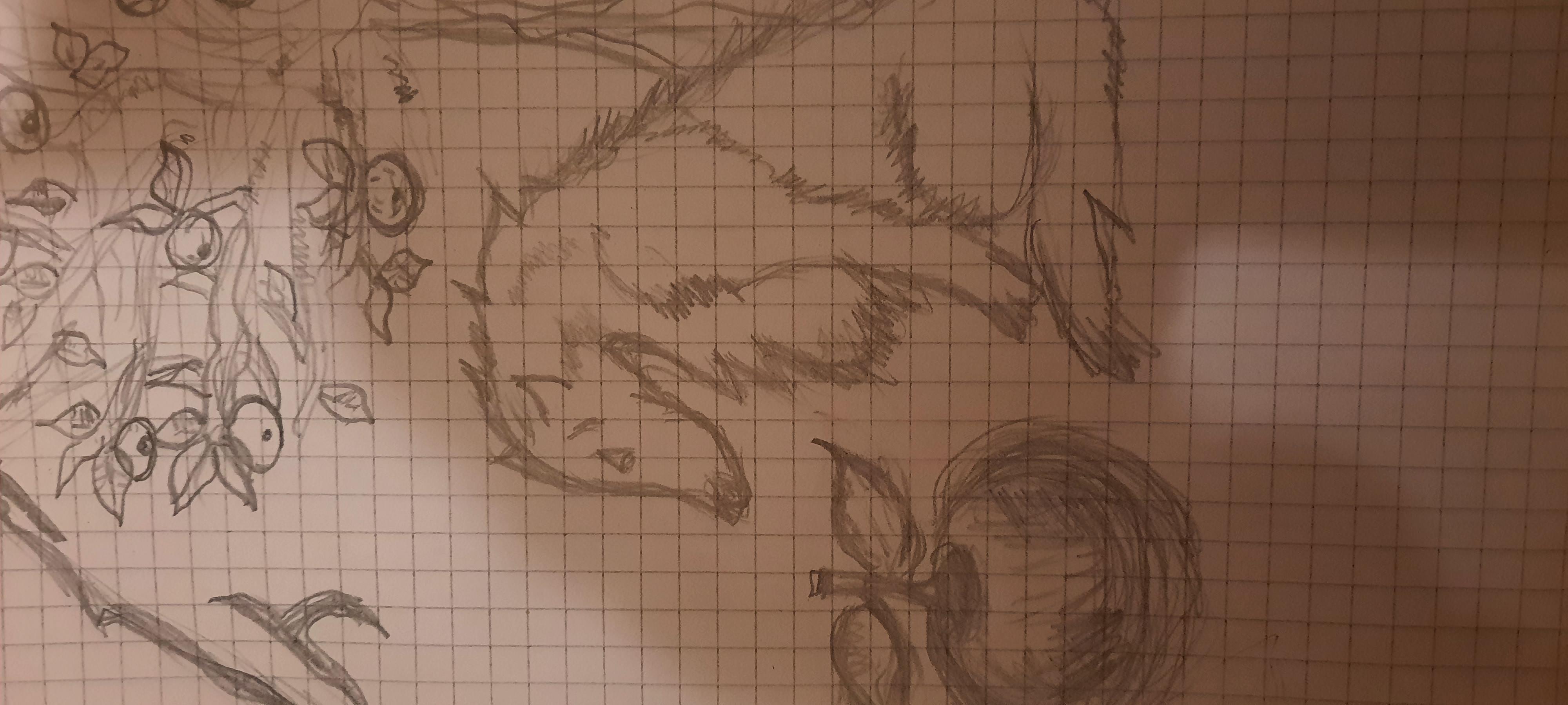 Regalo di cappuccetto rosso al lupo