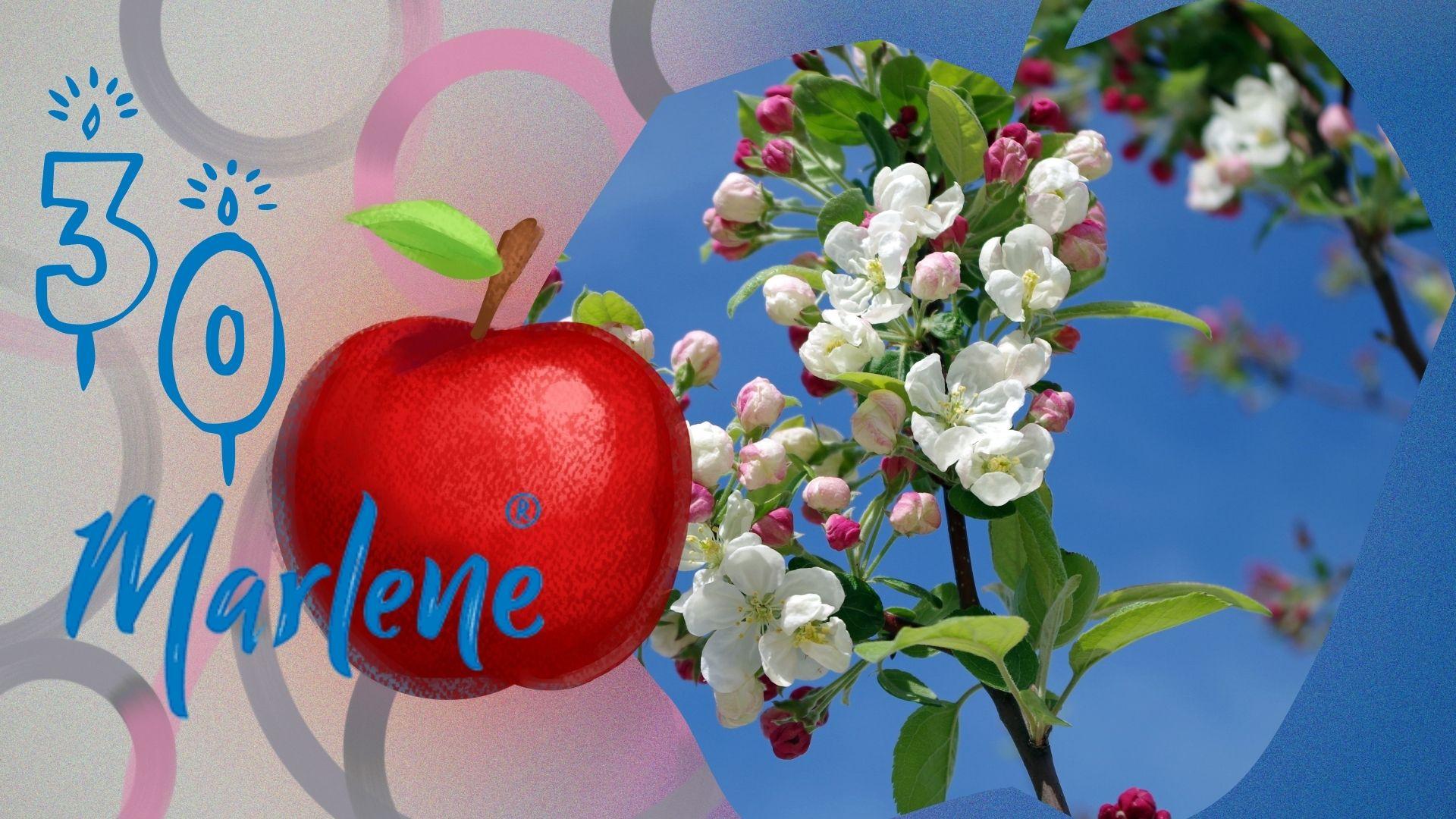 Trenta Primavere di Marlene