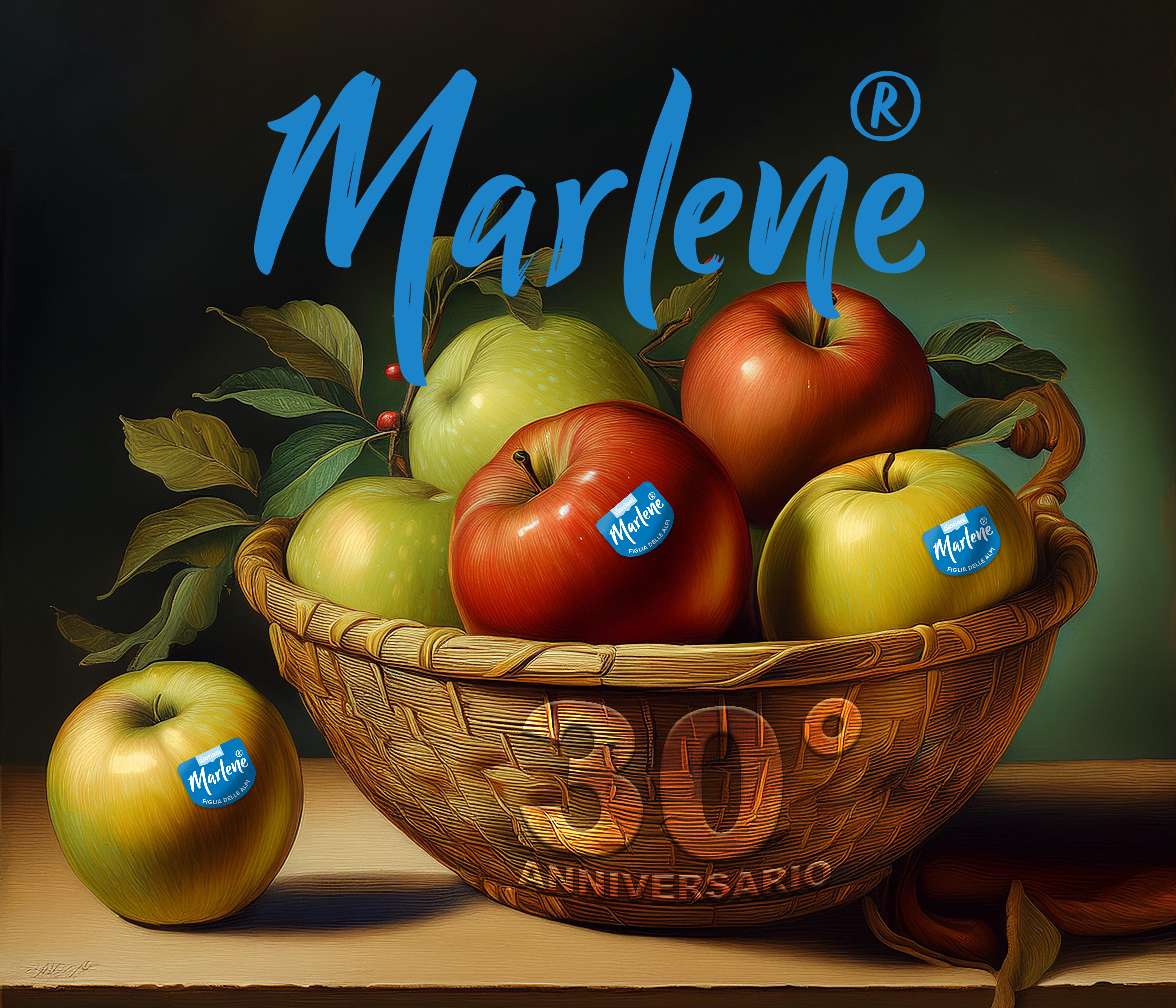 Canestra di mele Marlene