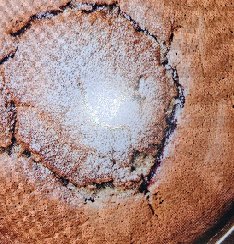 Torta ai profumi del Trentino