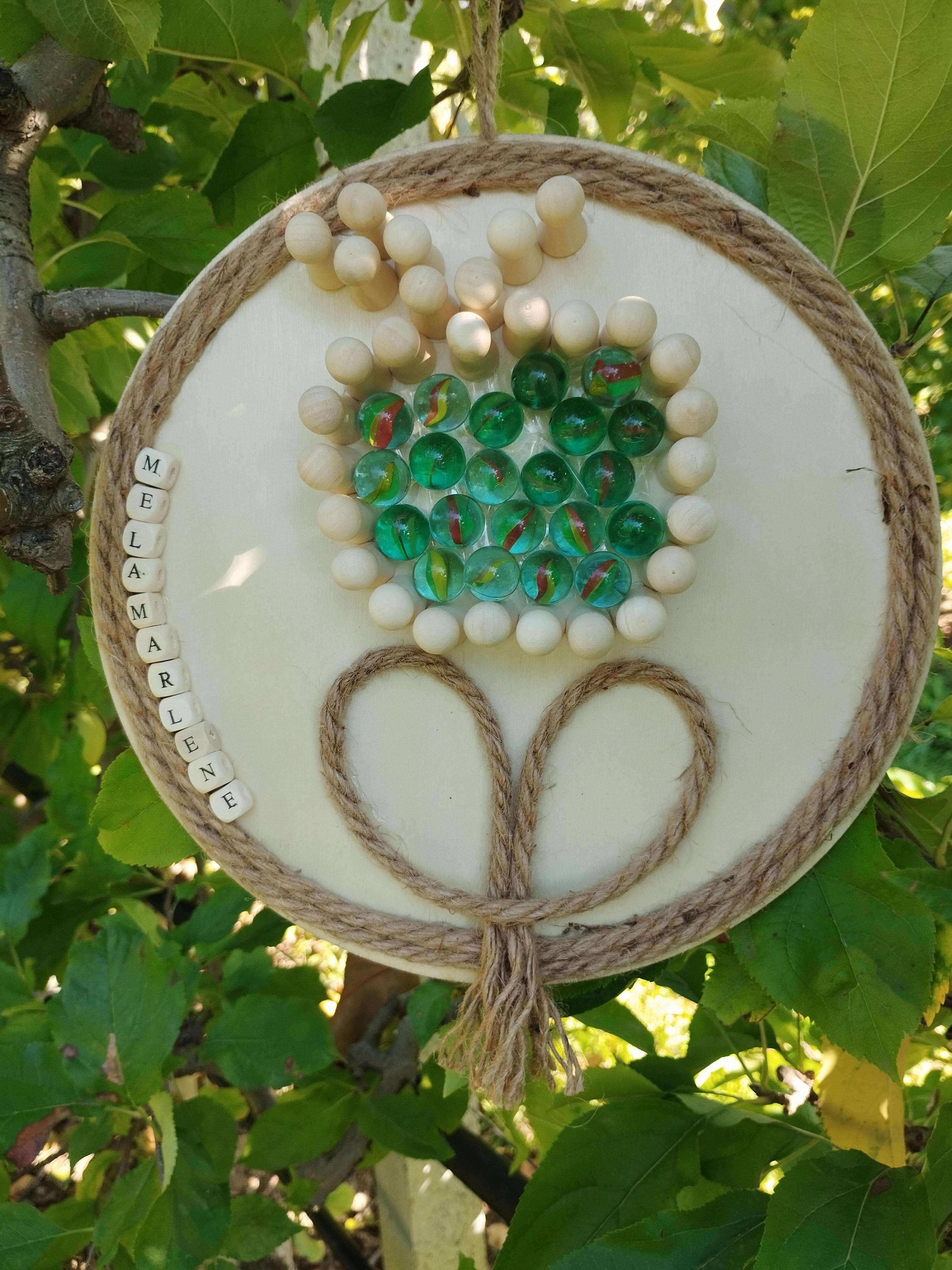 Il cerchio della mela