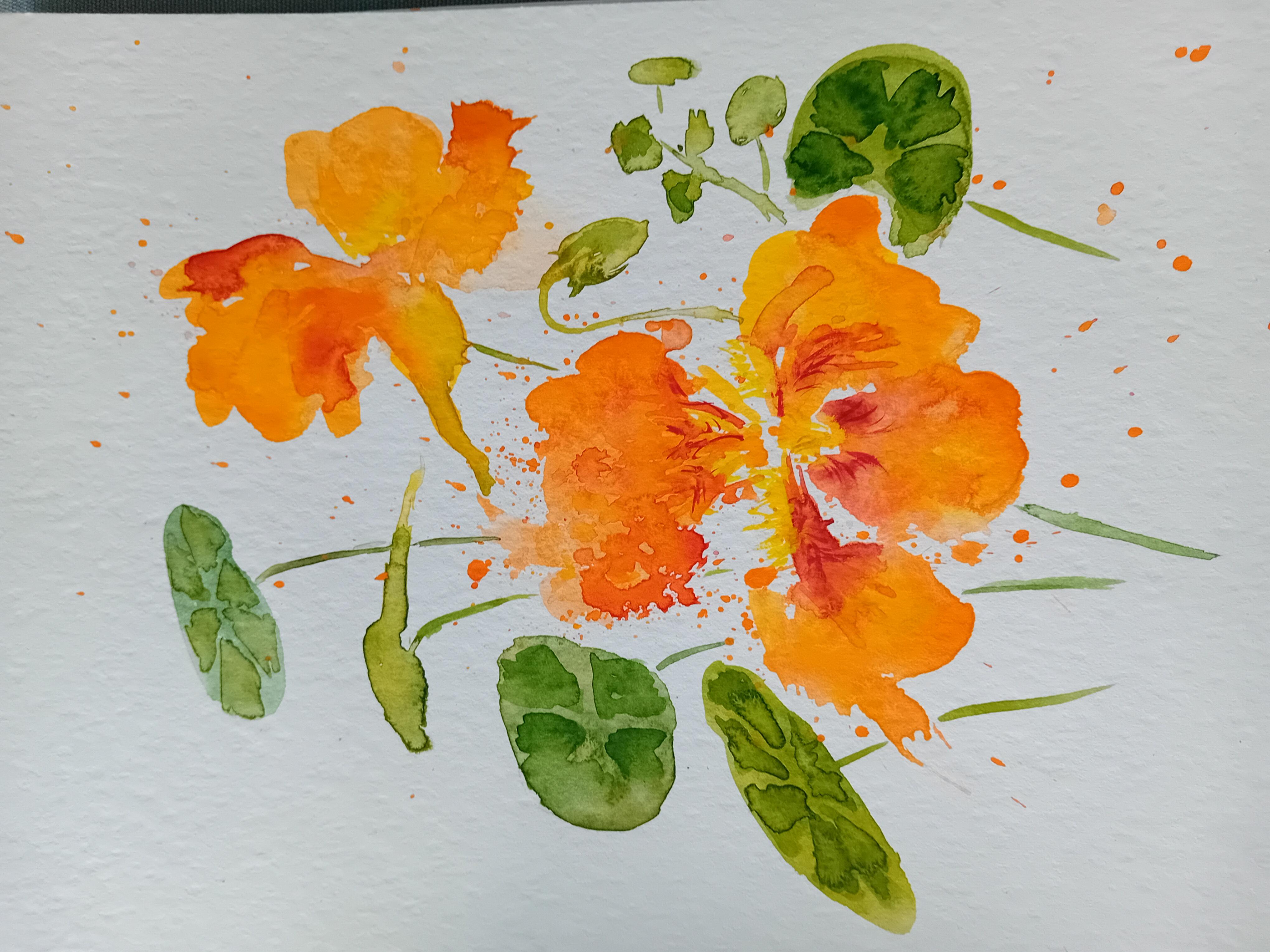 Nasturtium