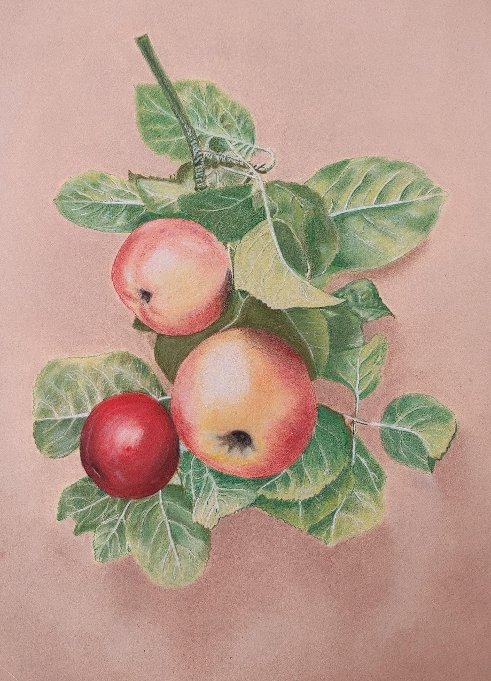 Ramillete de manzanas