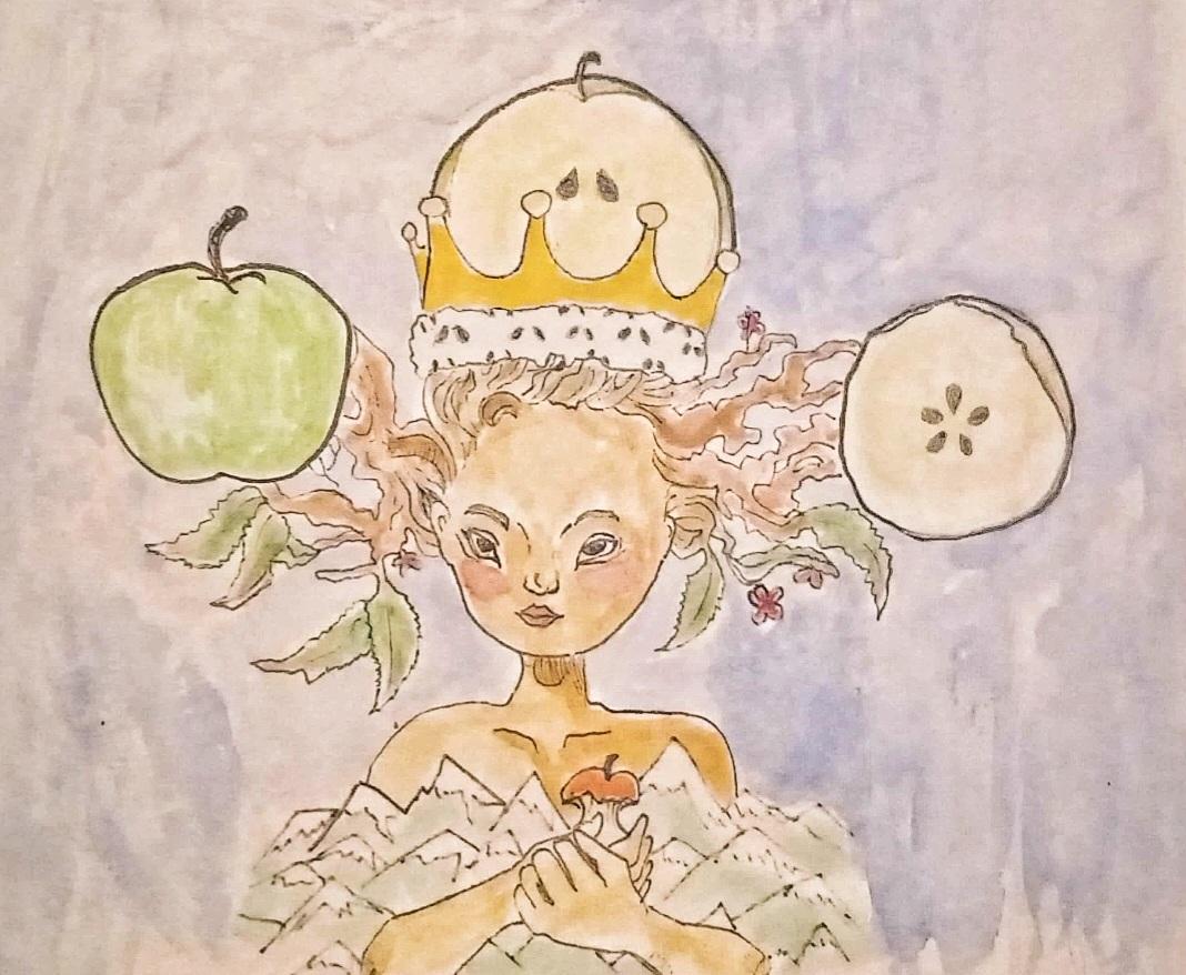 Mela gibbosa calante