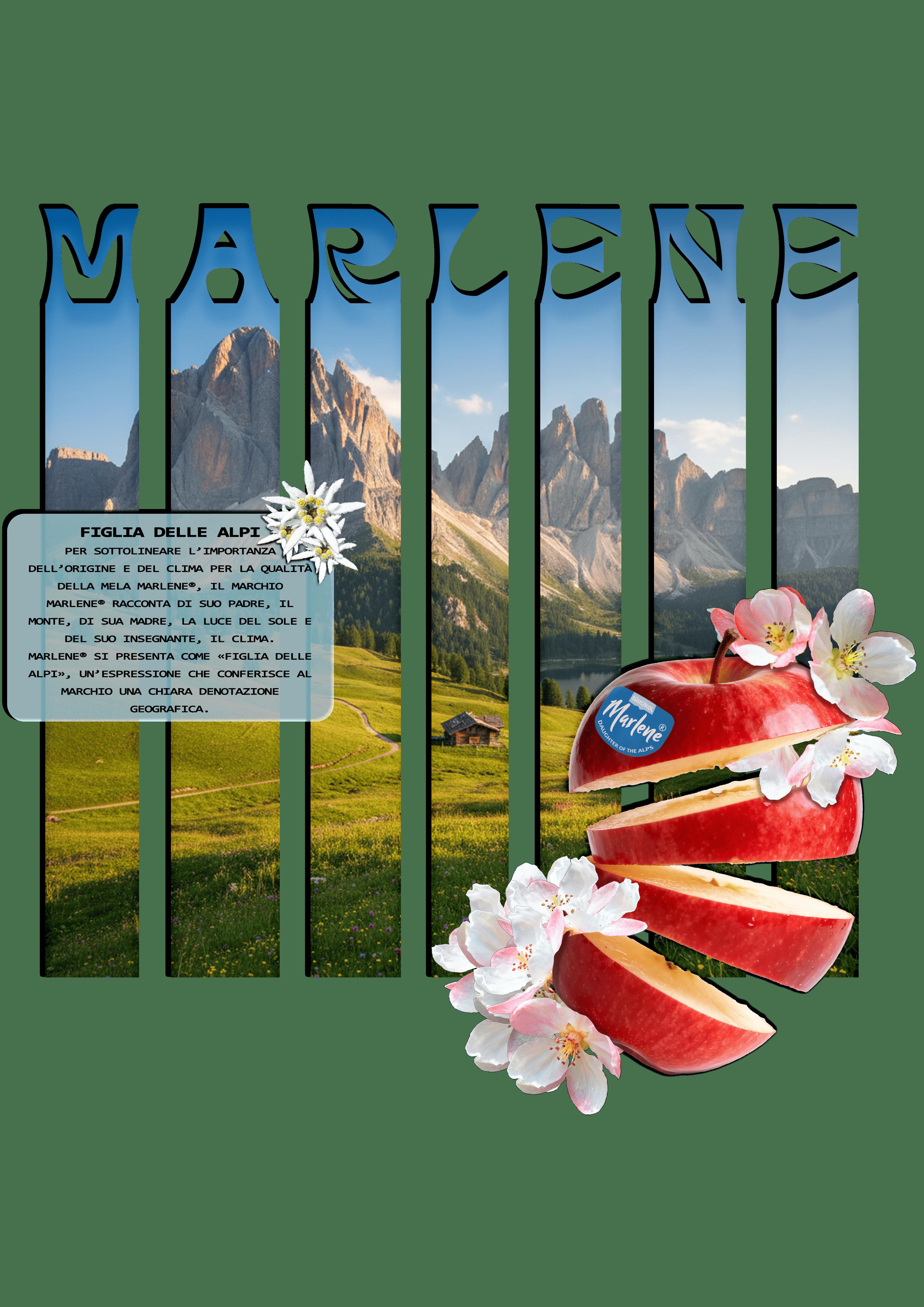 MARLENE: FIGLIA DELLE ALPI, MADRE DELLA BONTA'