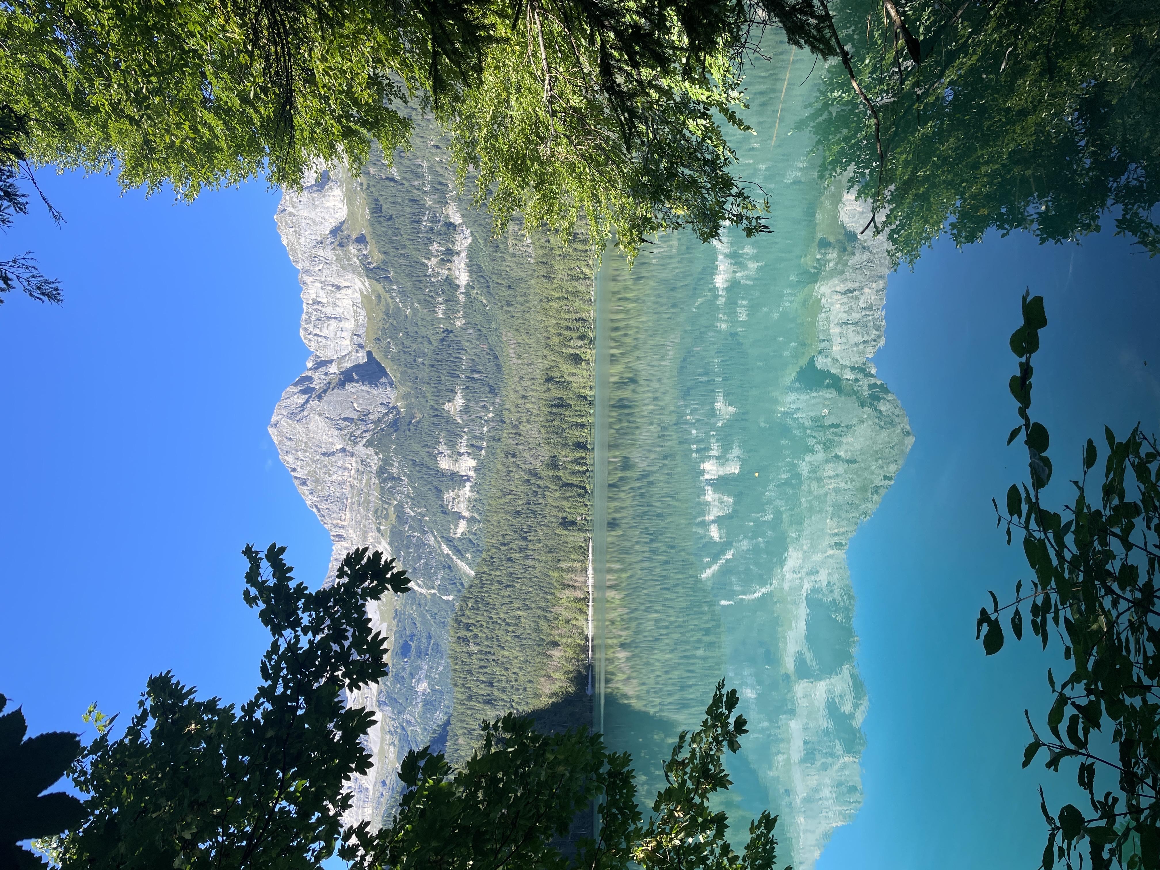 Riflessi
