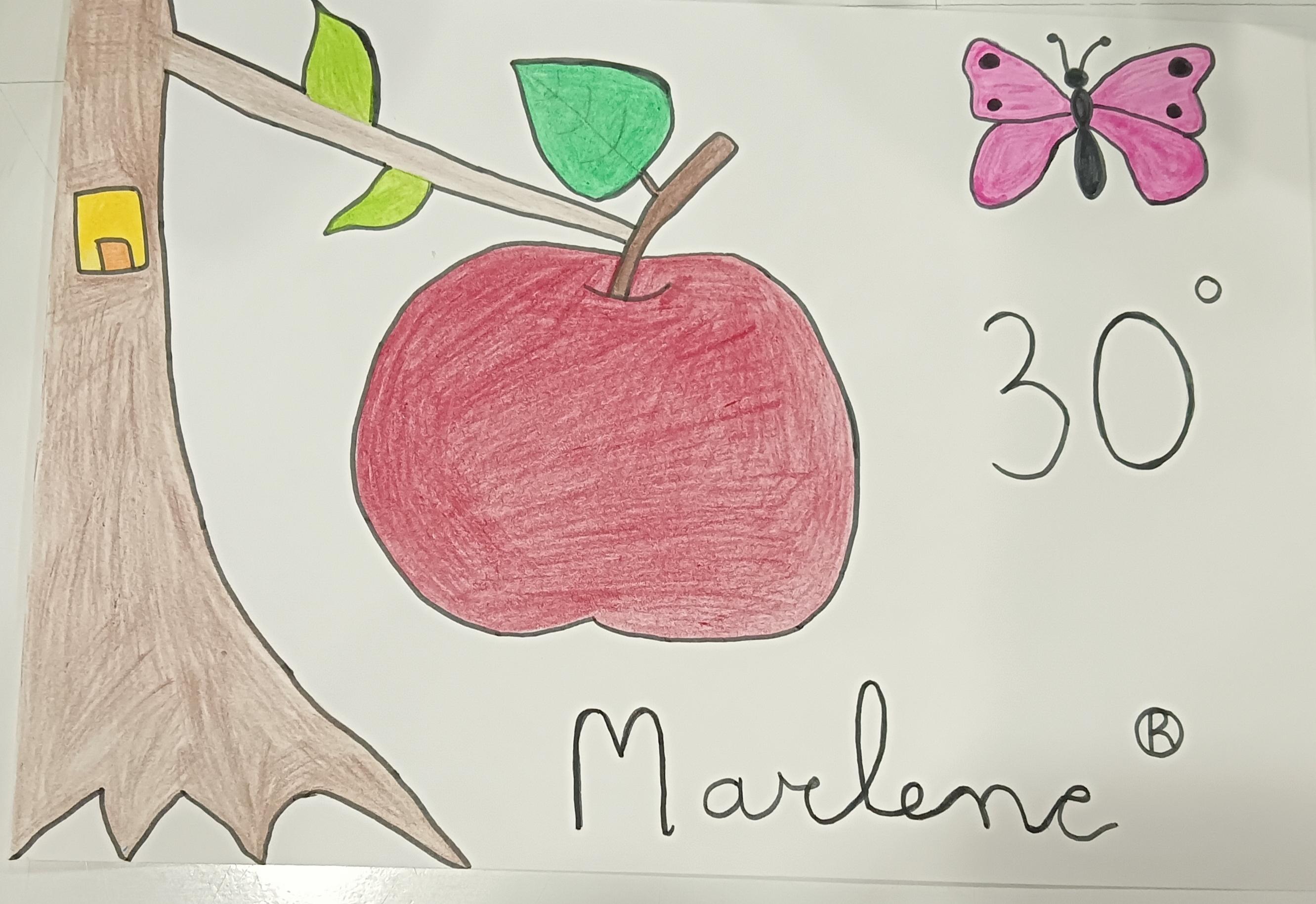 La magia del manzano