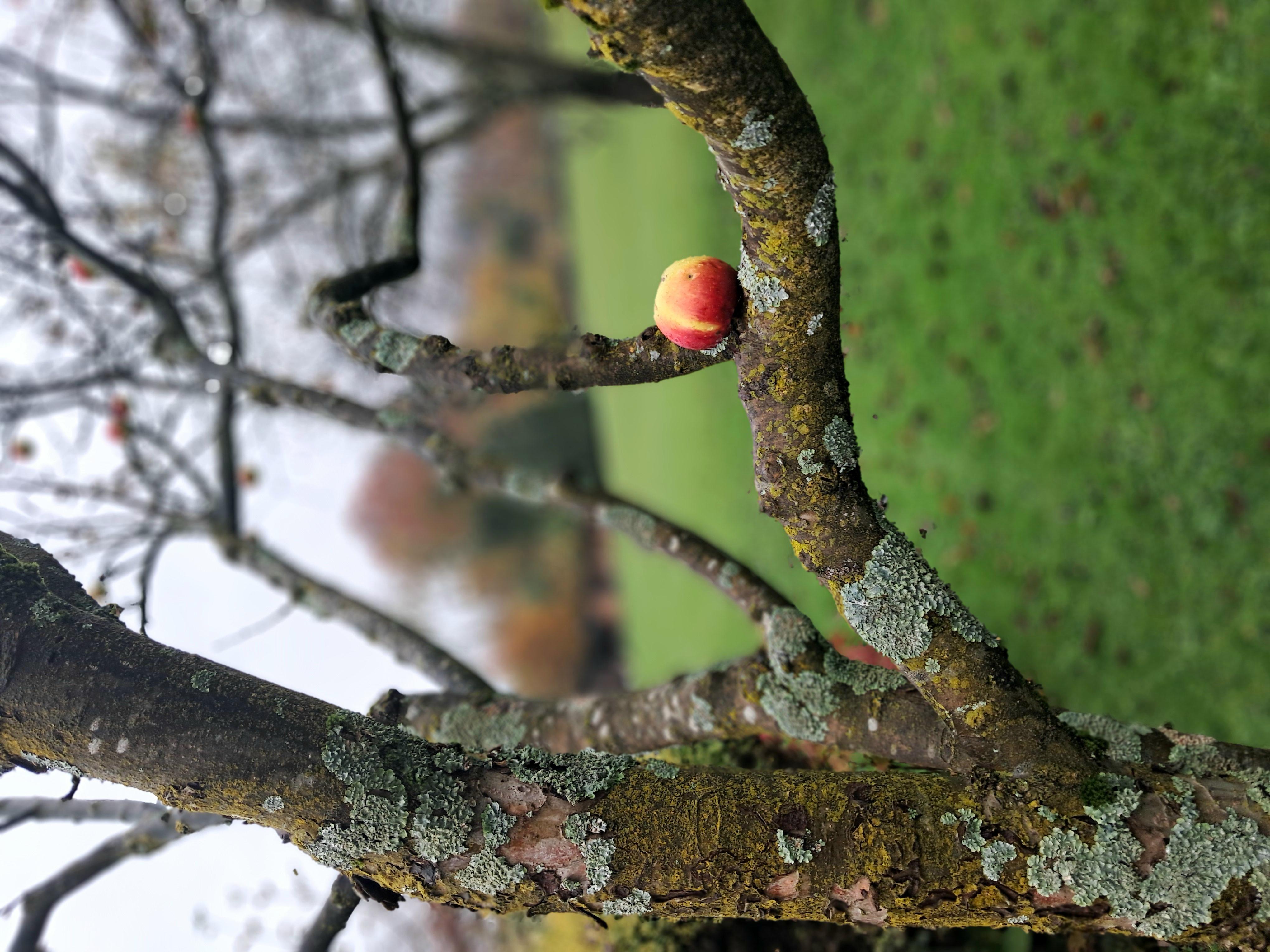 Legge gravitazionale