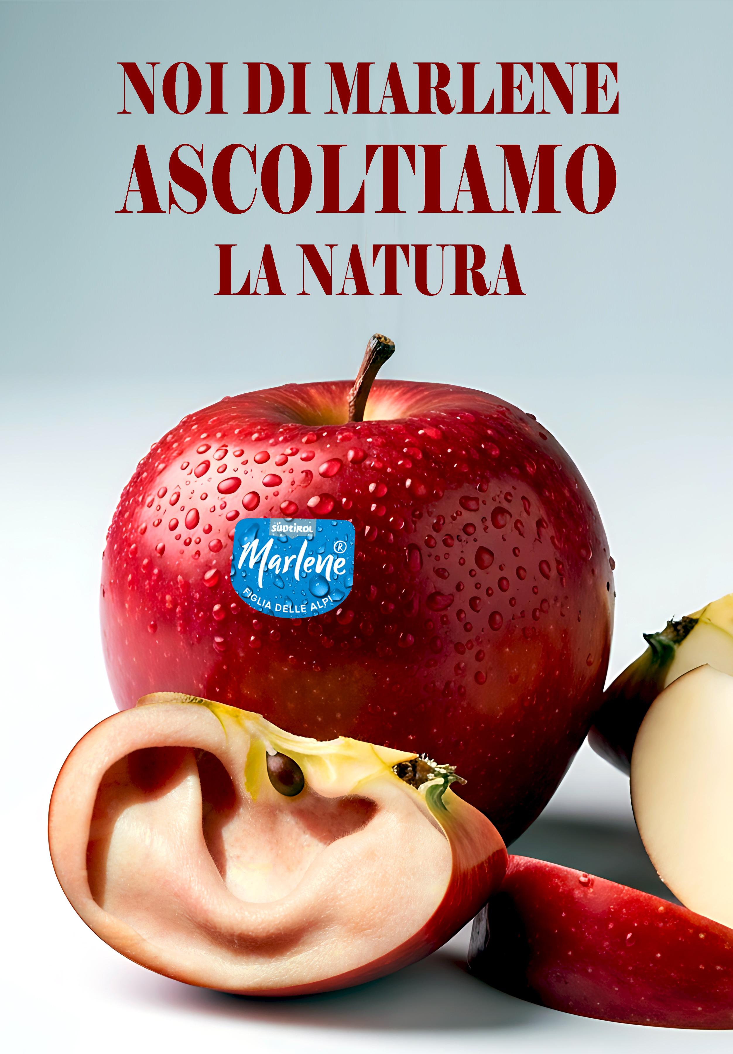 MELASCOLTO