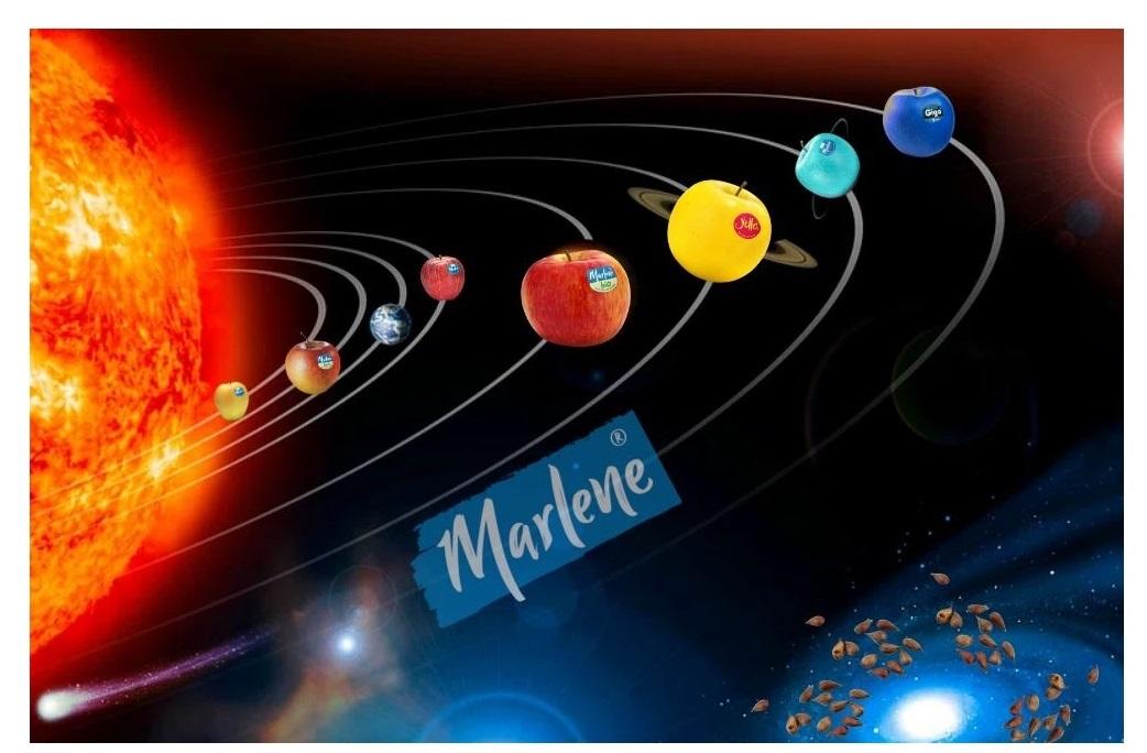 Marlene Apple System