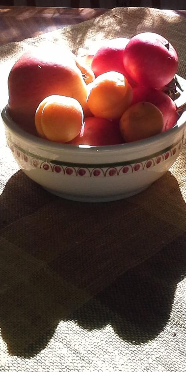 Friends on their way