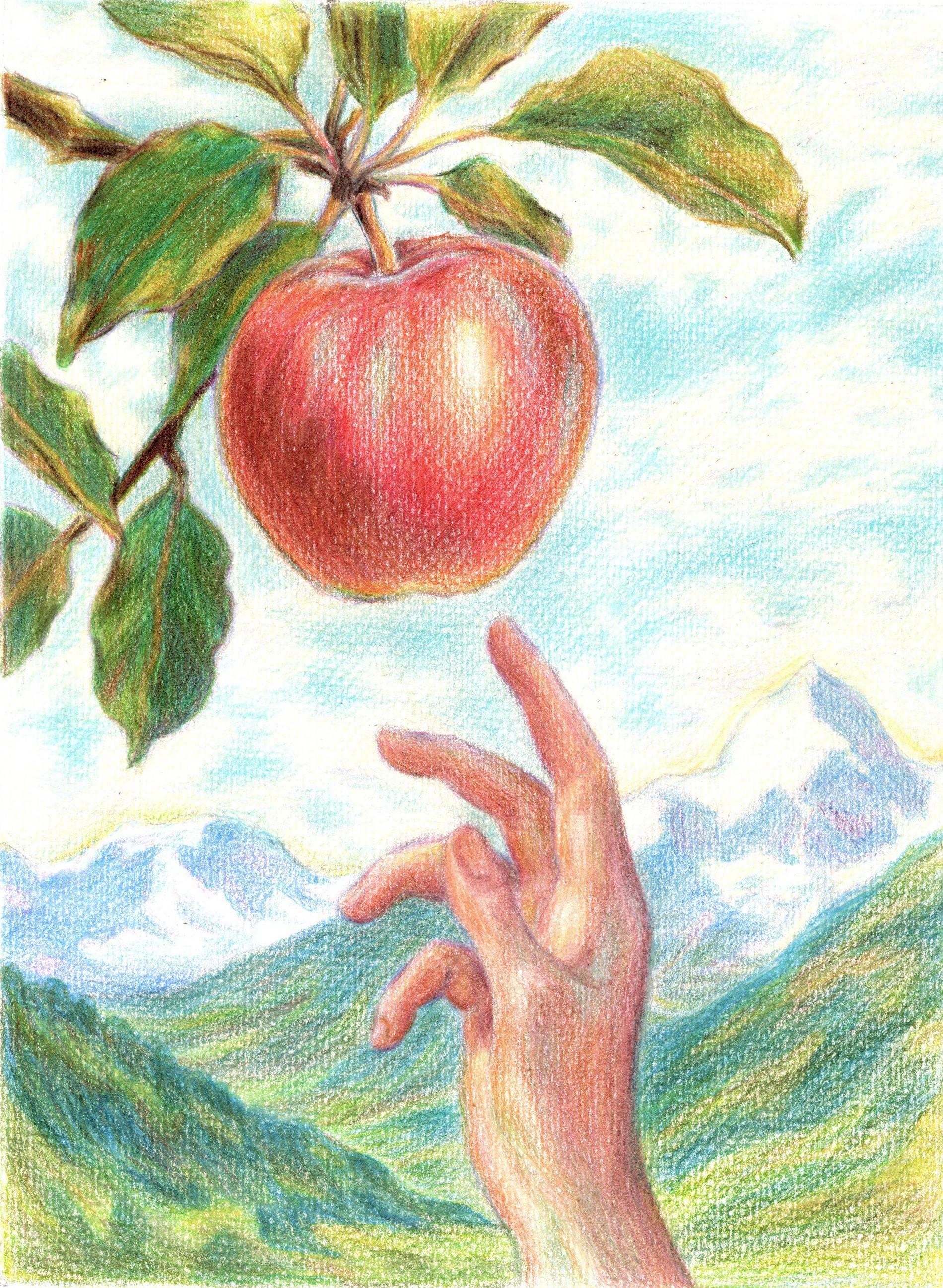 El Primer Toque de Marlene