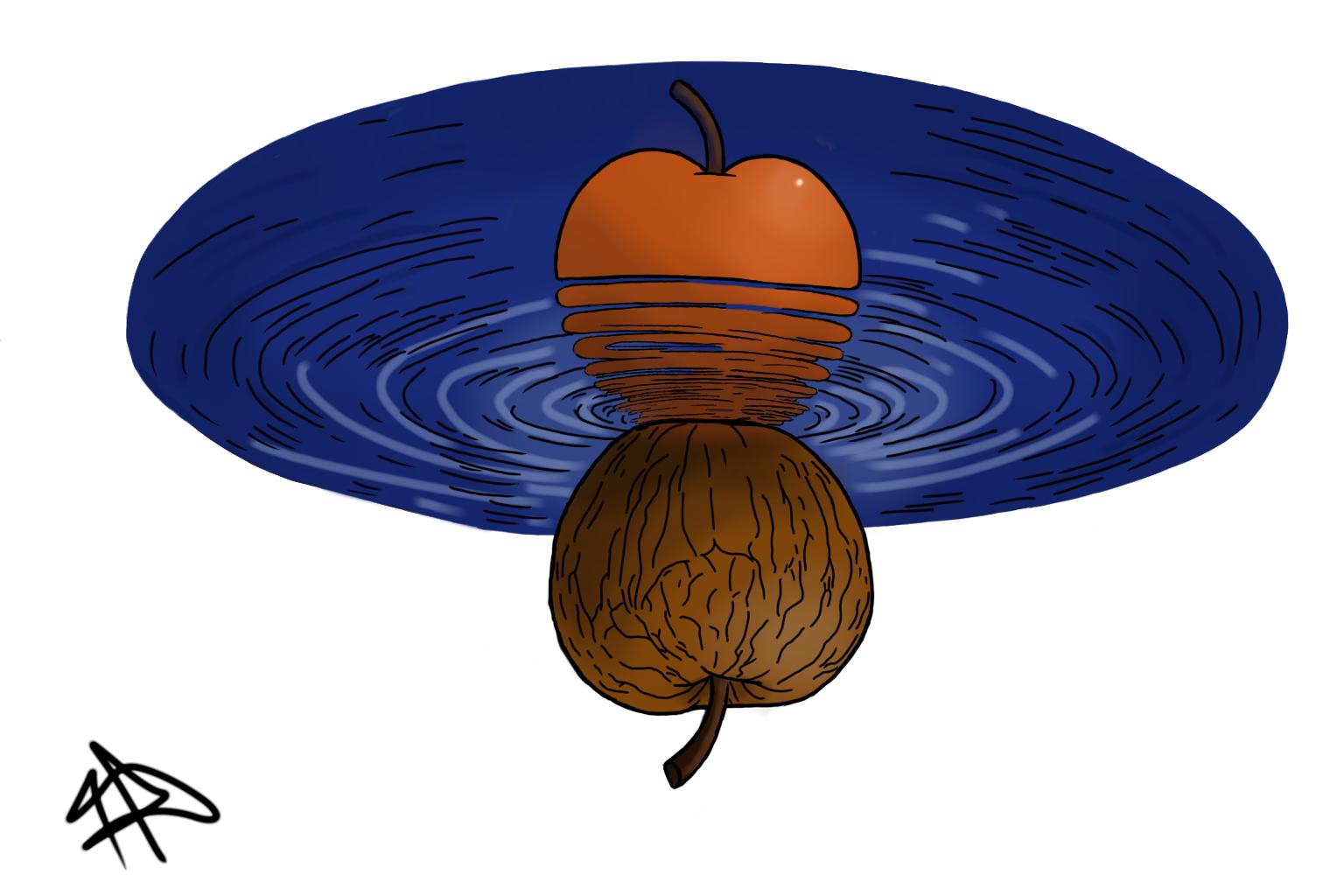 Dos estados, una manzana