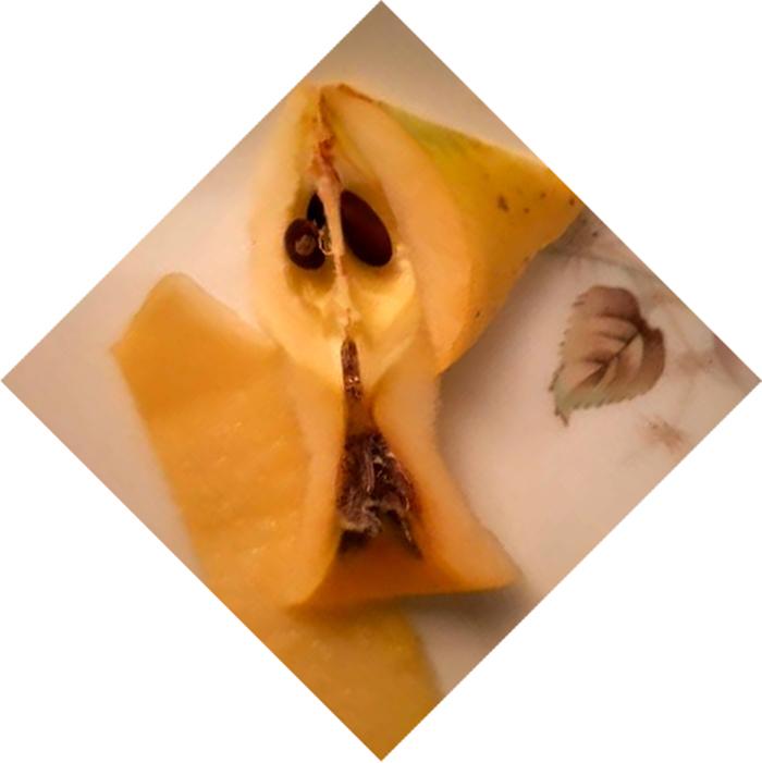 Anche le mele hanno un'anima