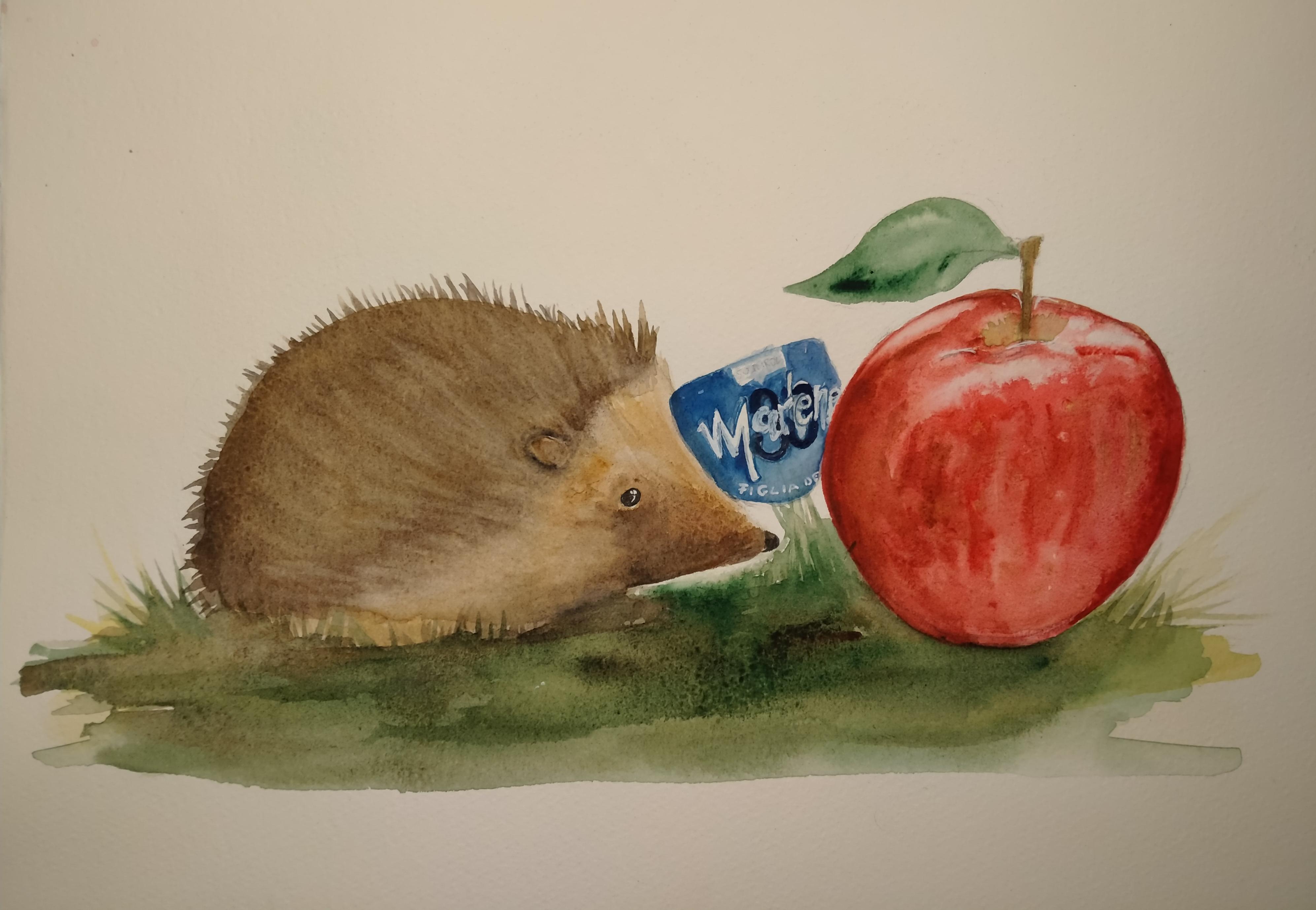 Il riccio e la mela