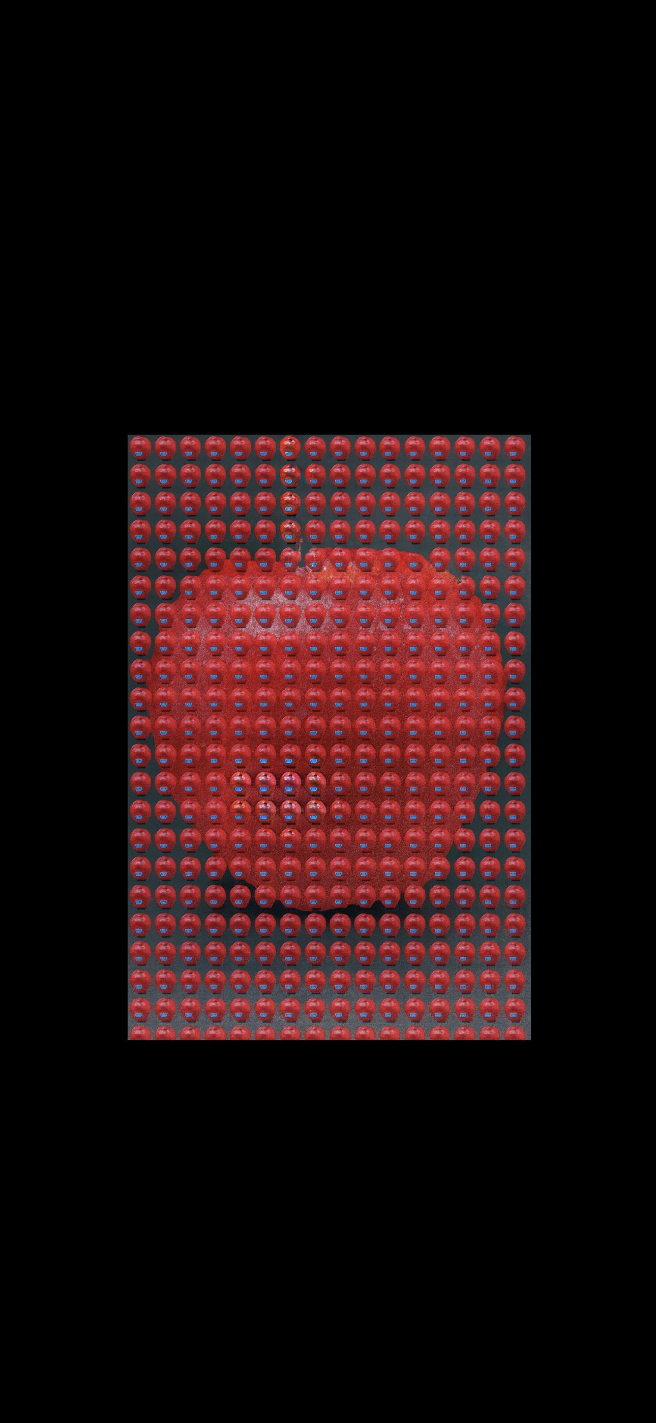 Il mondo nasce in una mela