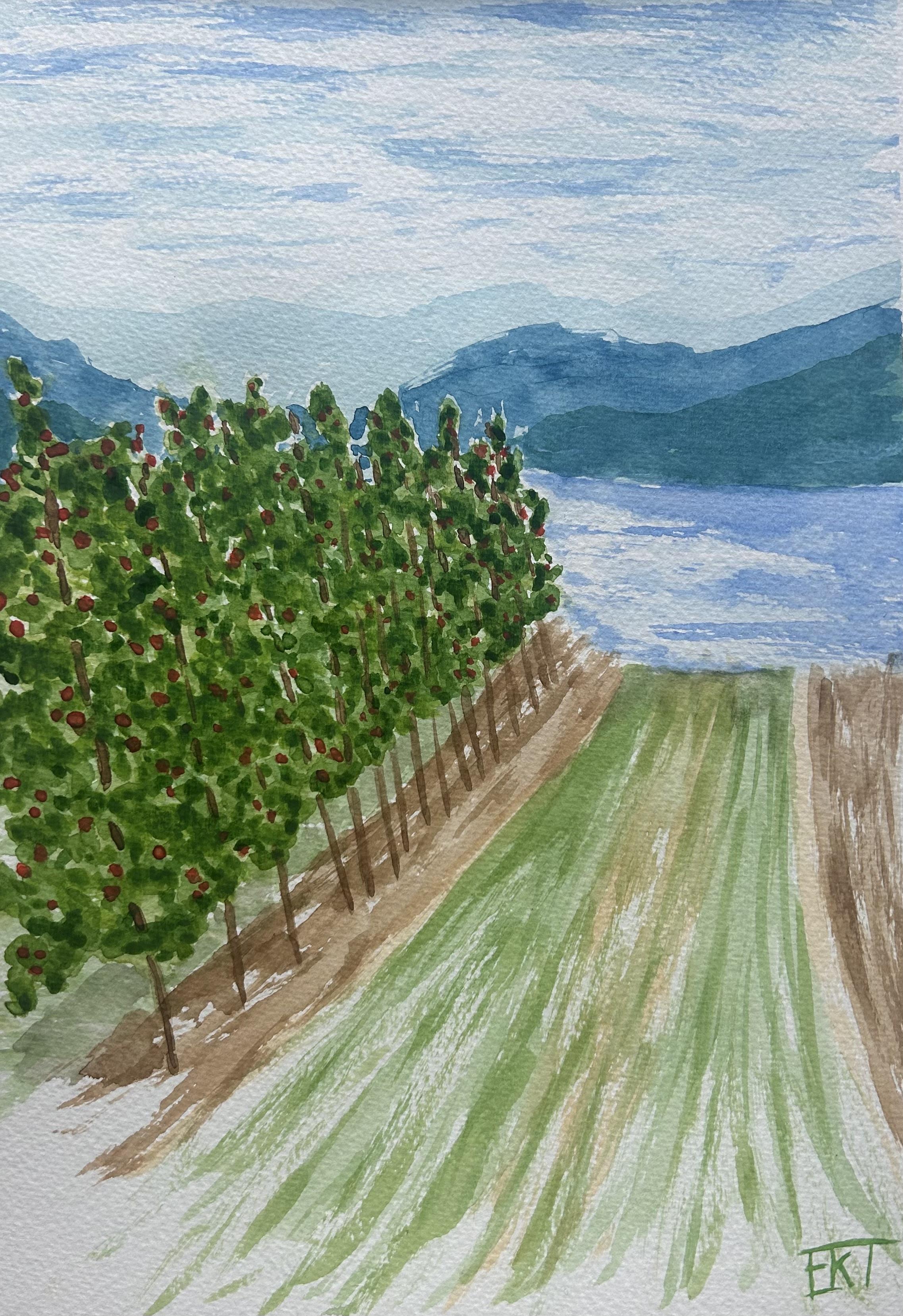 Epler i Hardanger (Apples in Hardanger)
