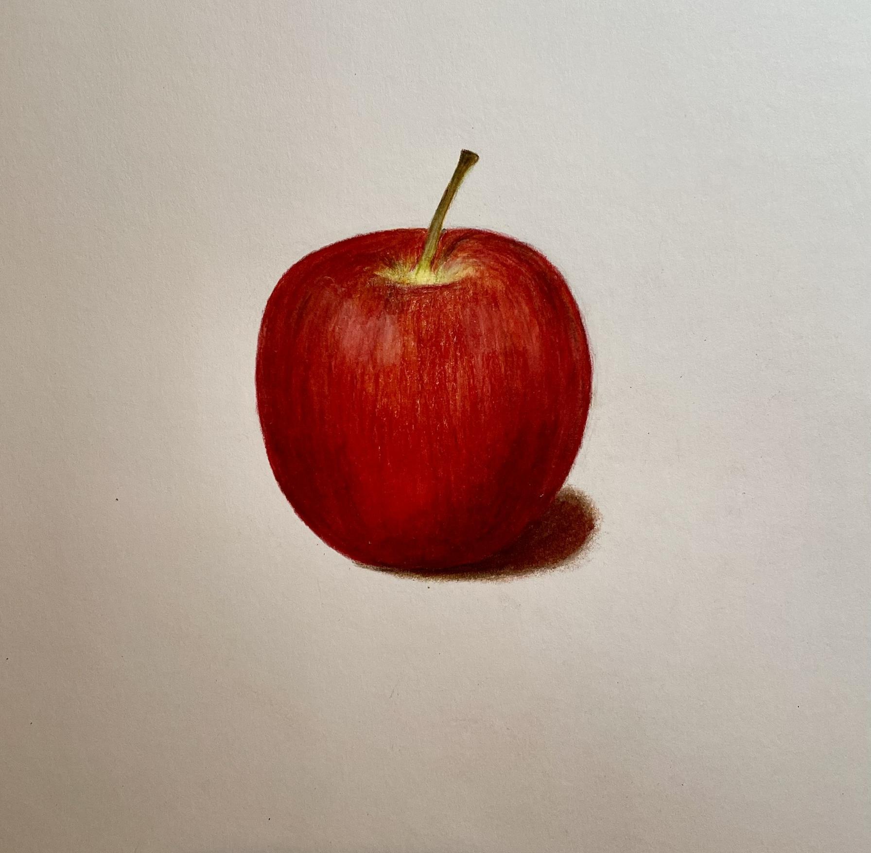 Drawing of Marlene apple from life using coloured pencils.