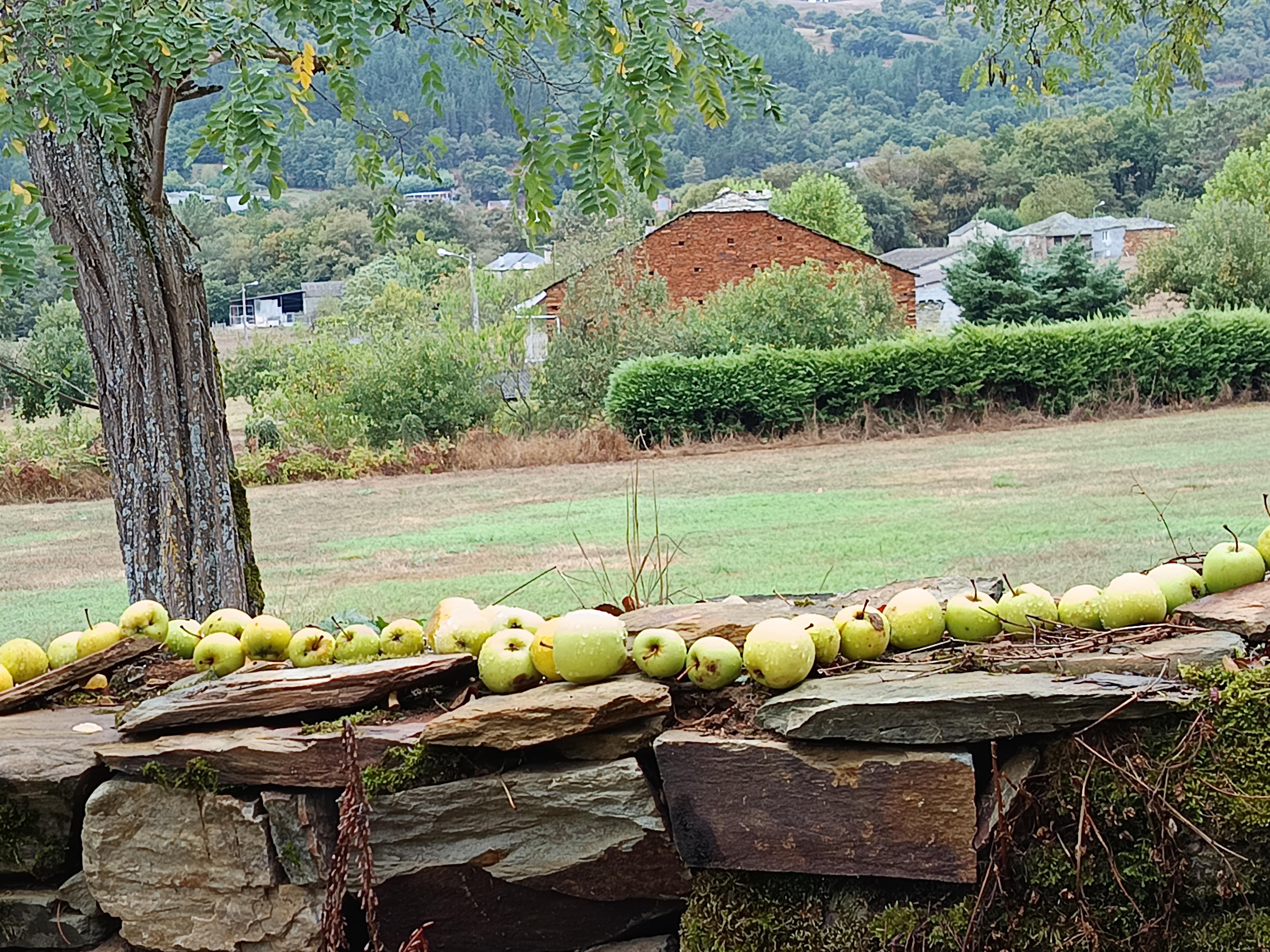 Muro de manzanas