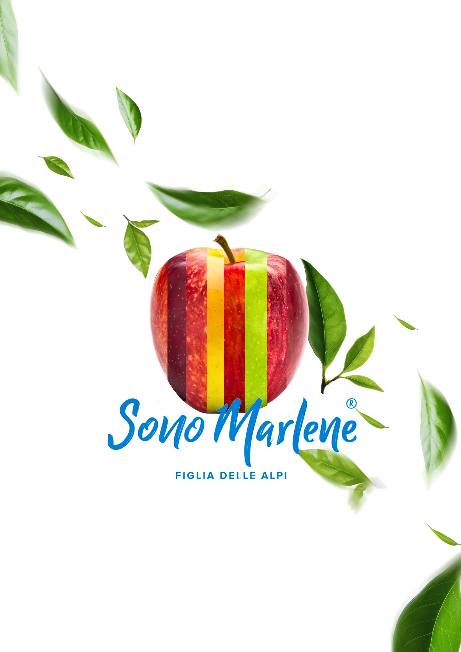 Le sette sfaccettature di Marlene