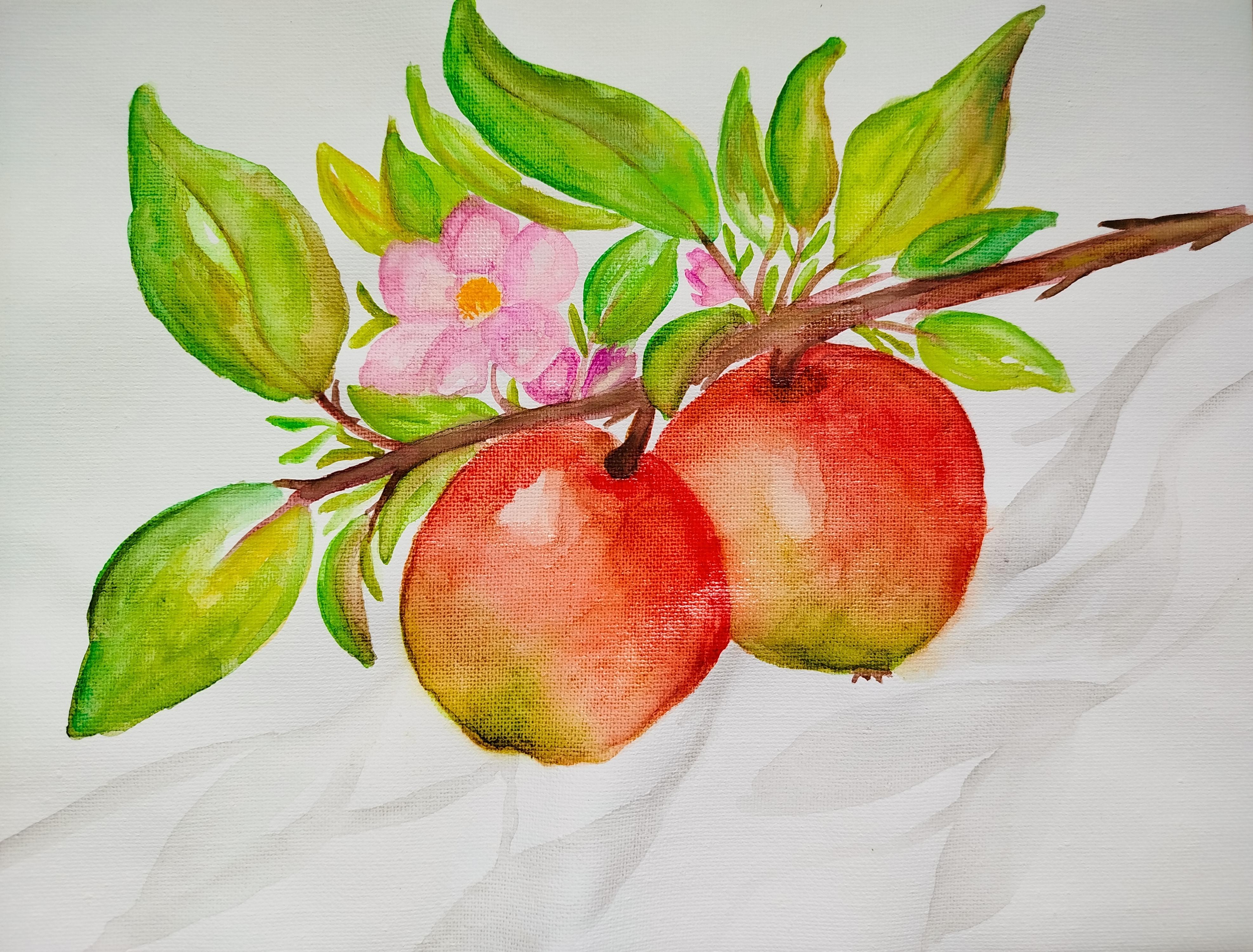 Jugo de manzana
