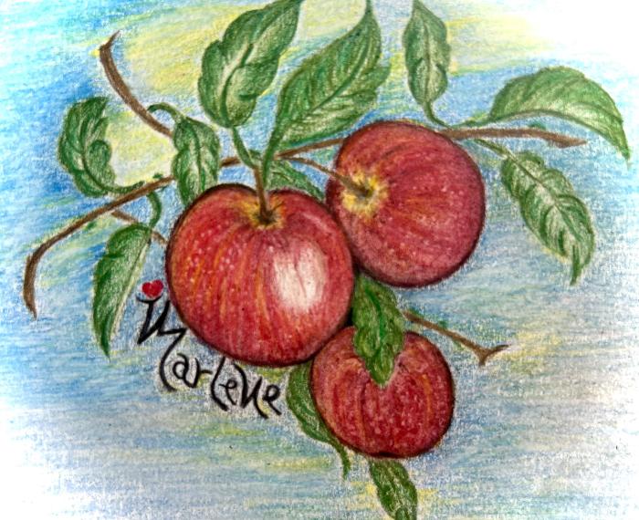 L’amore matura in una mela Marlene