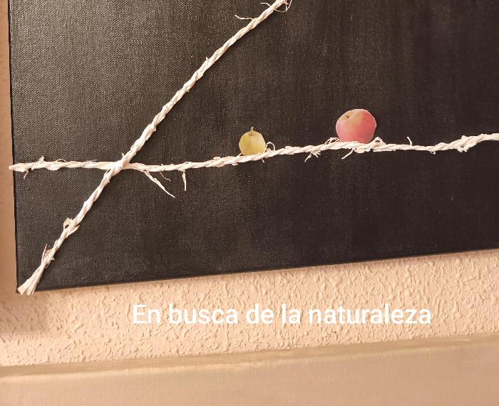 En busca de la naturaleza