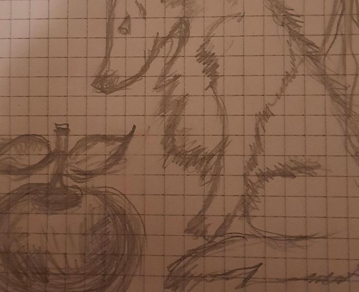 Regalo di cappuccetto rosso al lupo