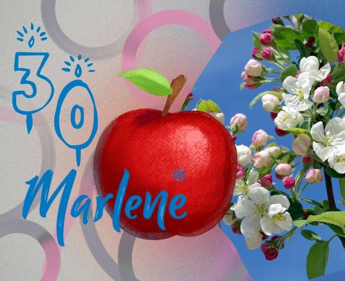 Trenta Primavere di Marlene