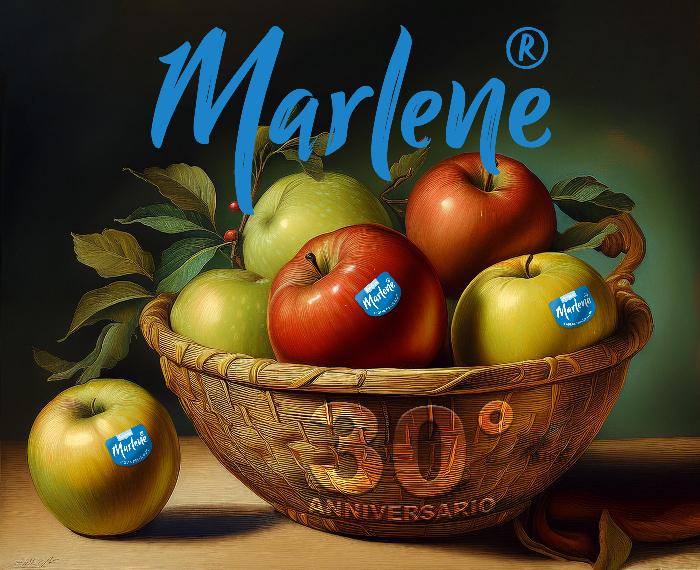 Canestra di mele Marlene