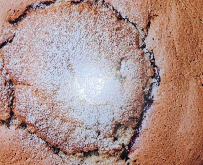 Torta ai profumi del Trentino