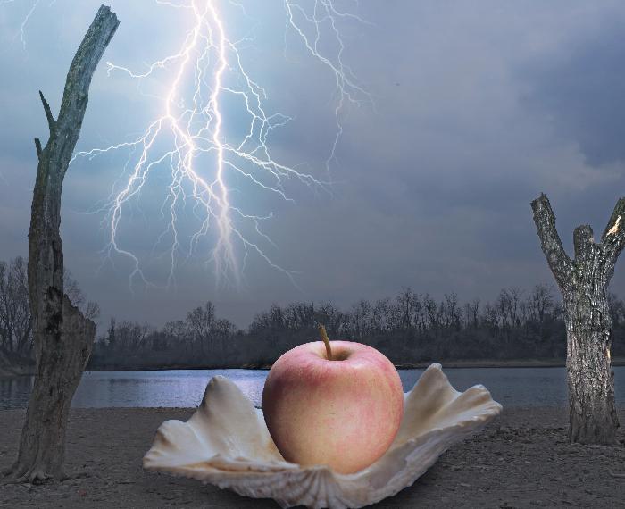 Perla di terra