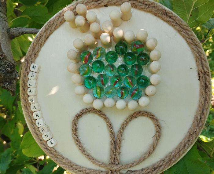 Il cerchio della mela