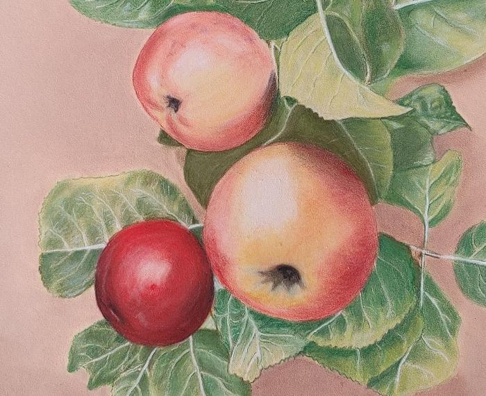 Ramillete de manzanas