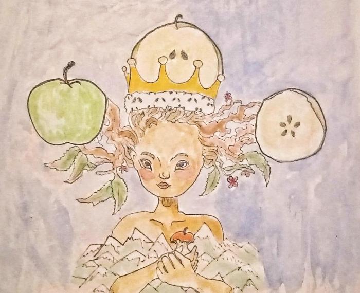 Mela gibbosa calante