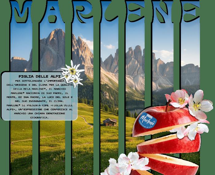 MARLENE: FIGLIA DELLE ALPI, MADRE DELLA BONTA'