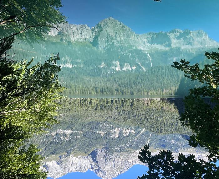 Riflessi
