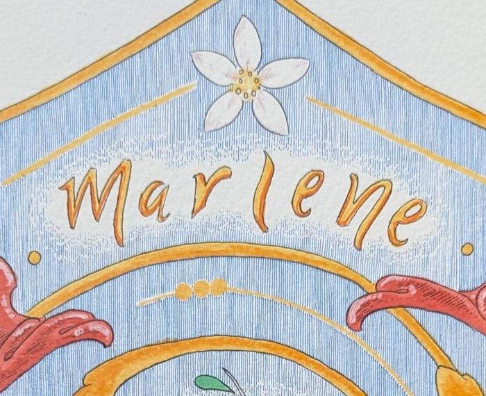 La belleza de la naturaleza