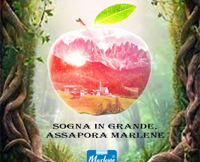 sogna in grande,assapora marlene