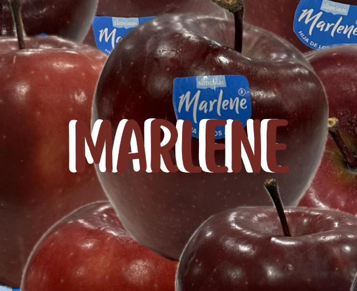 Collage manzanas digital