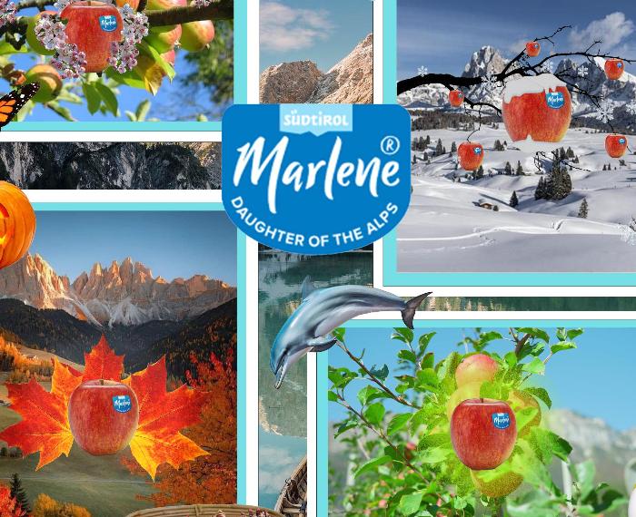 Marlene e le 4 stagioni