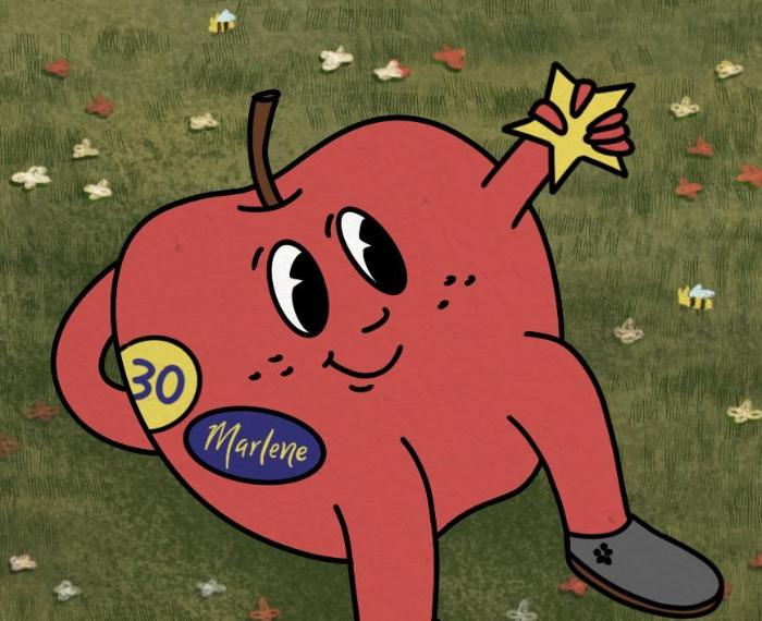 Una stella a cinque punte