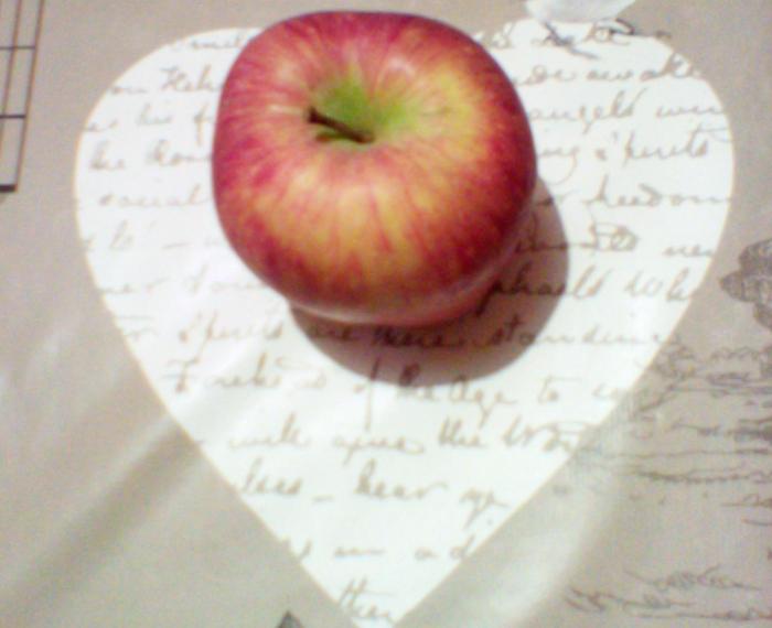 Bontà a portata di mano