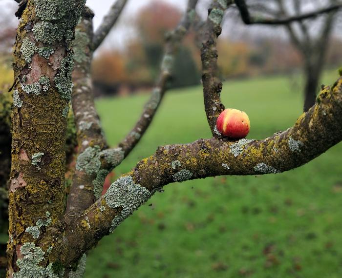 Legge gravitazionale