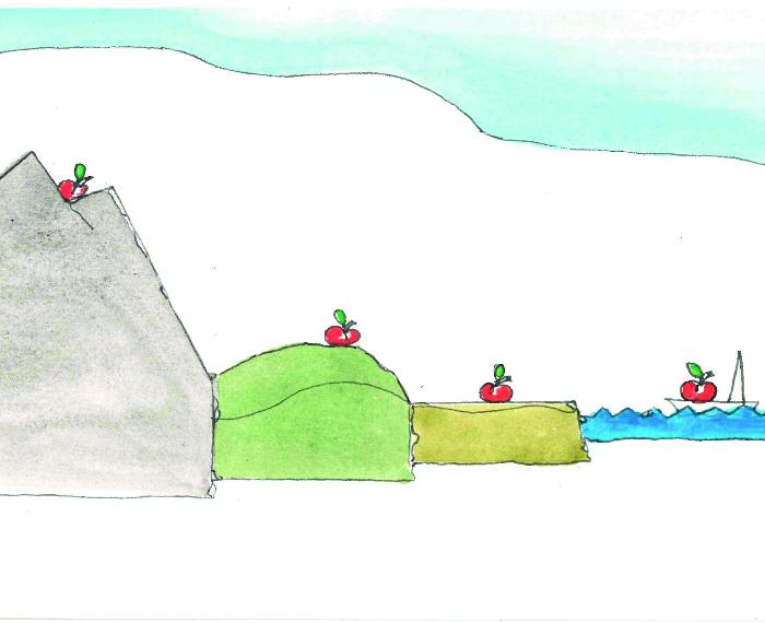 ...LA MELA NEL MARE...NON CRESCE...