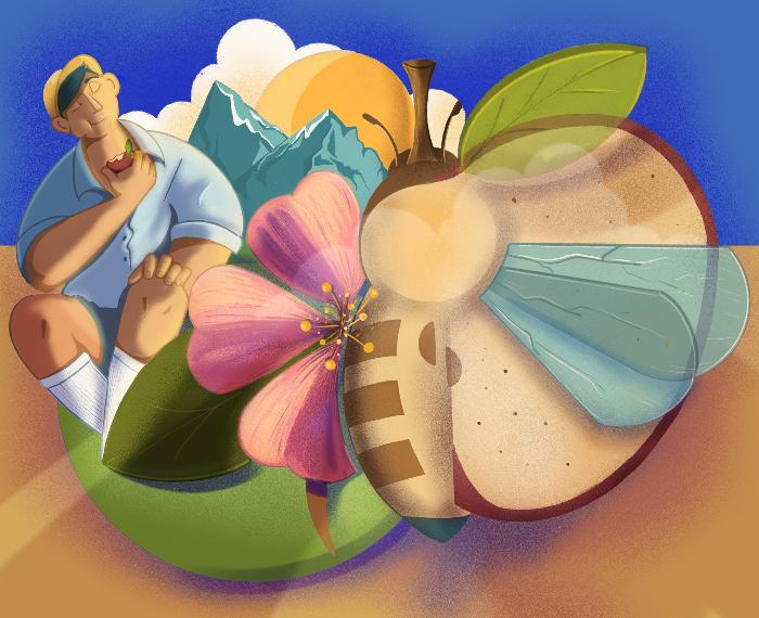 Metà mela, metà vita