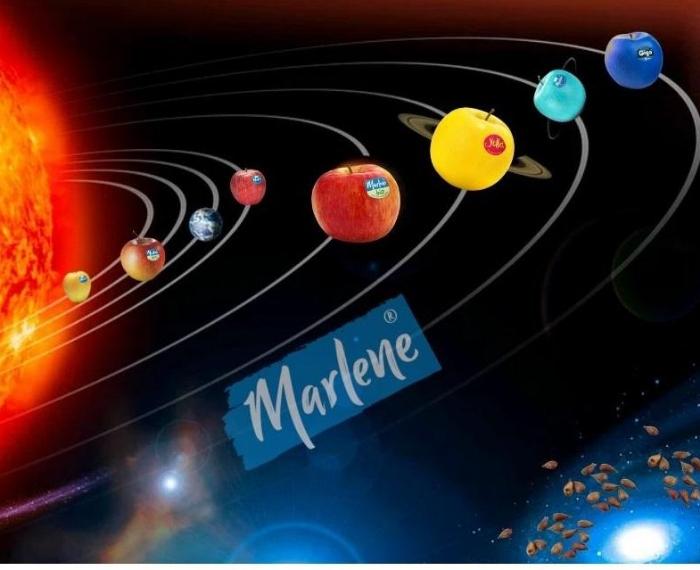 Marlene Apple System