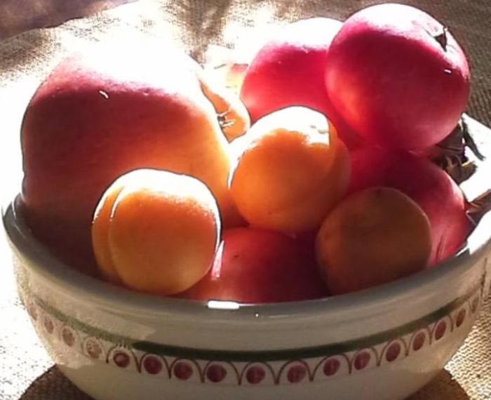 Friends on their way